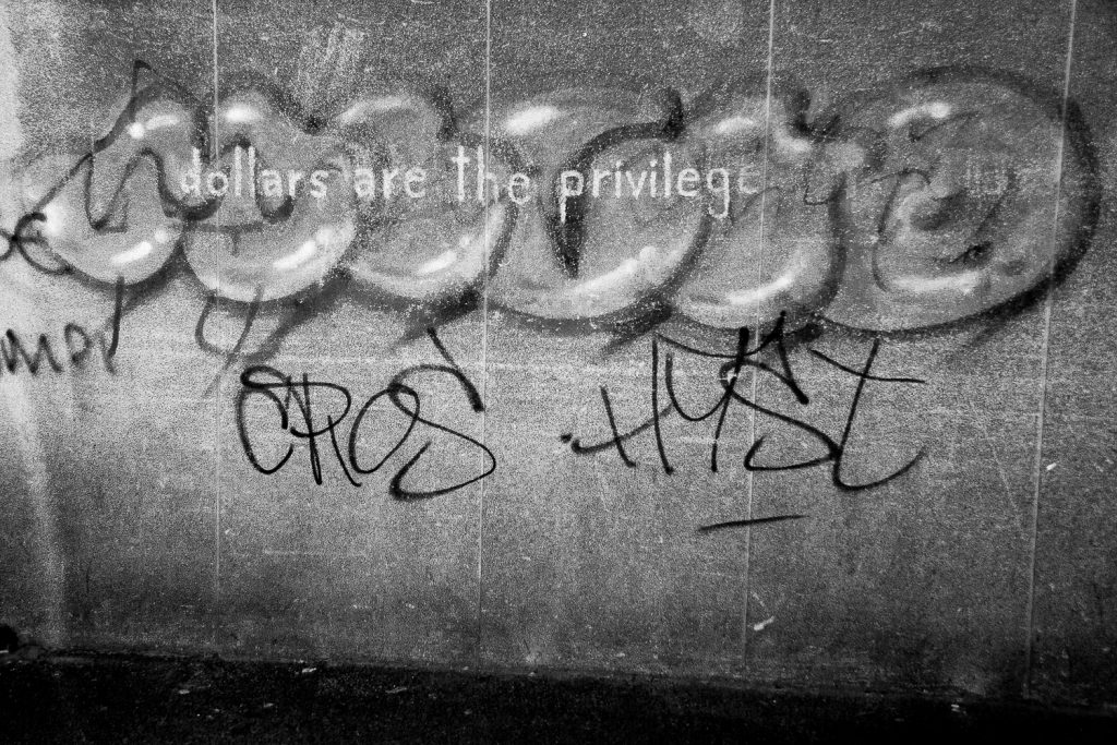 Graffiti detail: “dollars are the privilege”, Salt River, 2014.