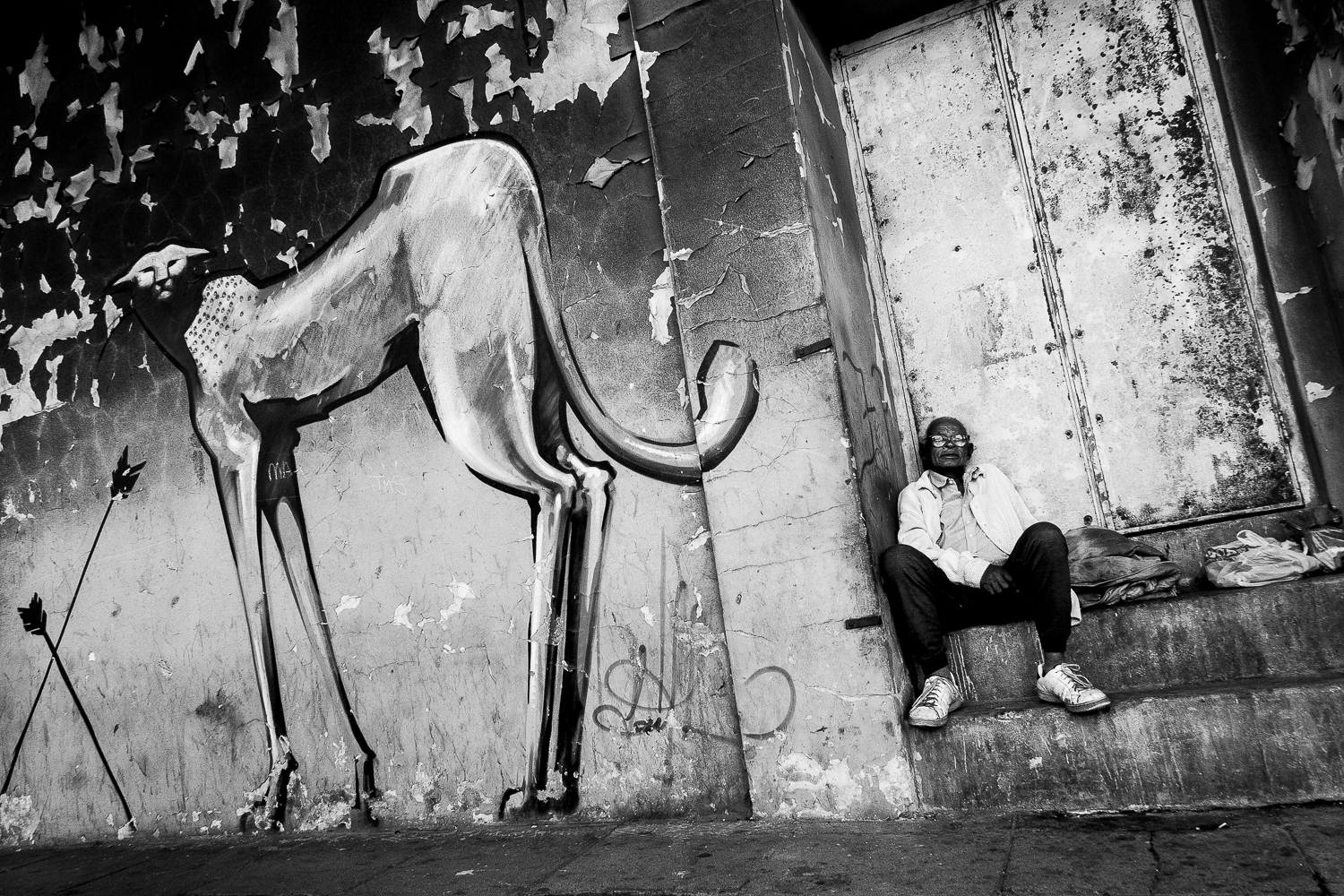 Person sitting next to graffiti of cheetah, Salt River, 2012