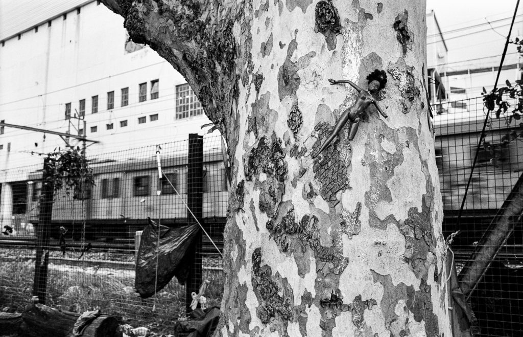 Barbie hung on tree, potentially marking a territory of campsite, Claremont, 2013.