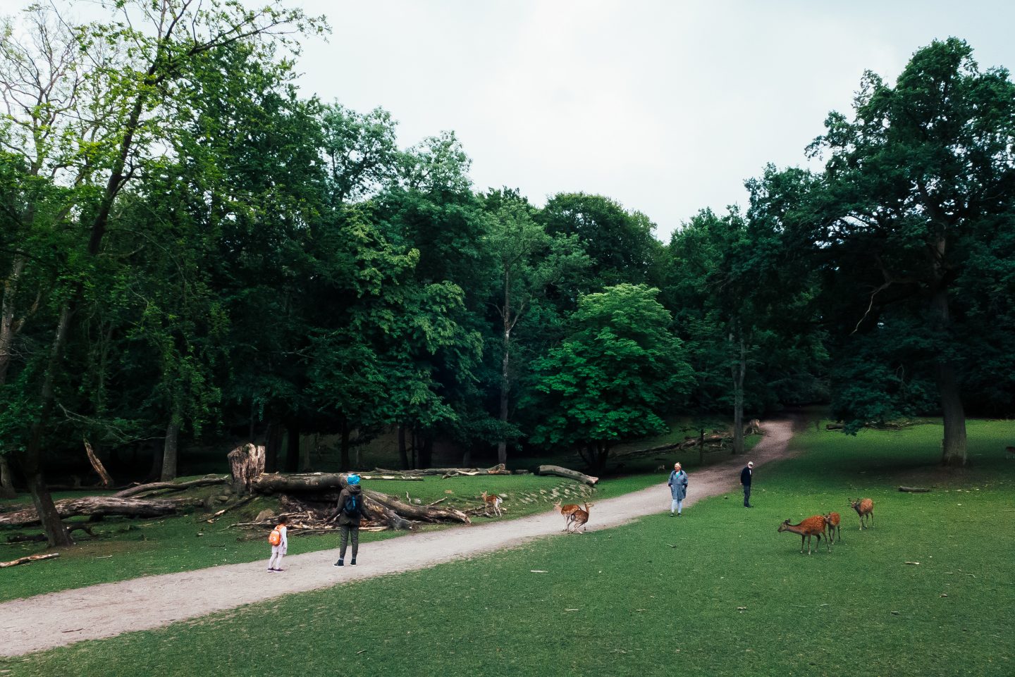 Marselisborg Deer Park